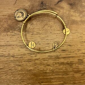 Alex and Ani Gold Charm Bracelet